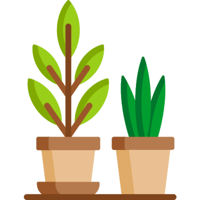 Sản phẩm sinh vật cảnh